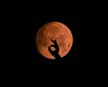 Pun Mesec u Vagi 16. aprila podseća da umetnost dobrog življenja i zahteva ravnotežu.