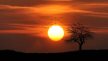 pexels-pixabay-36744.jpg