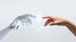 shutterstock_2059473317.jpg