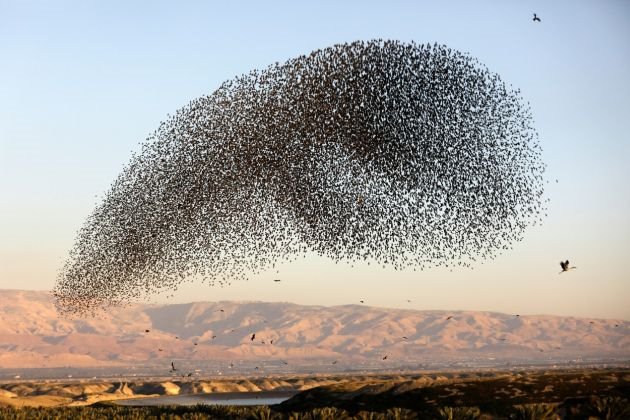 Nestvarne: 10 najboljih fotografija iz čitavog sveta za 2019.