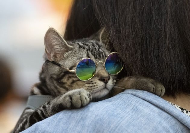 Nestvarne: 10 najboljih fotografija iz čitavog sveta za 2019.