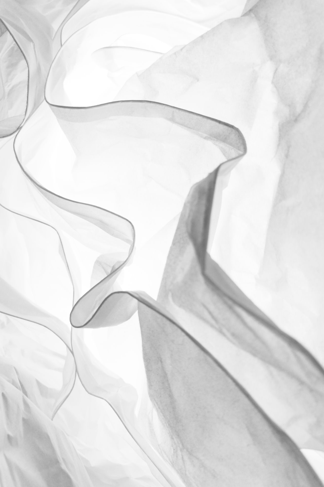 daniele-levis-pelusi-mkMSXR86kYY-unsplash