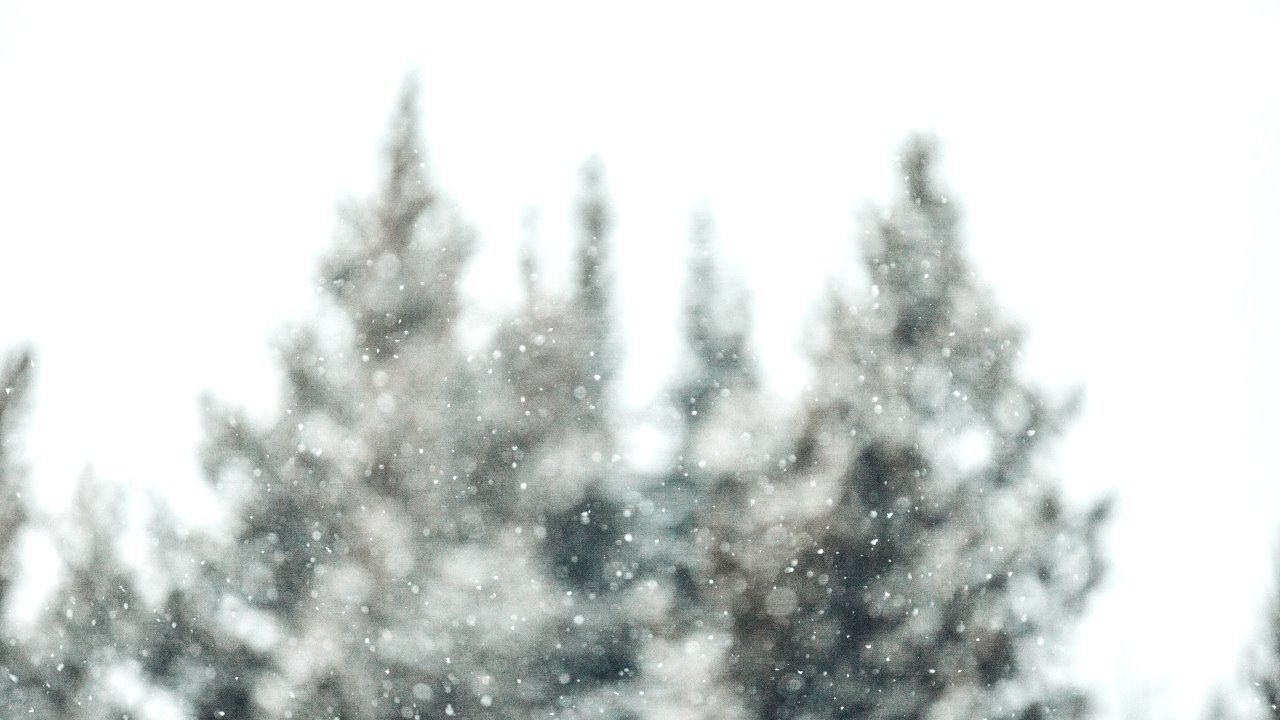 Nedeljni horoskop od 13. do 19. decembra.
