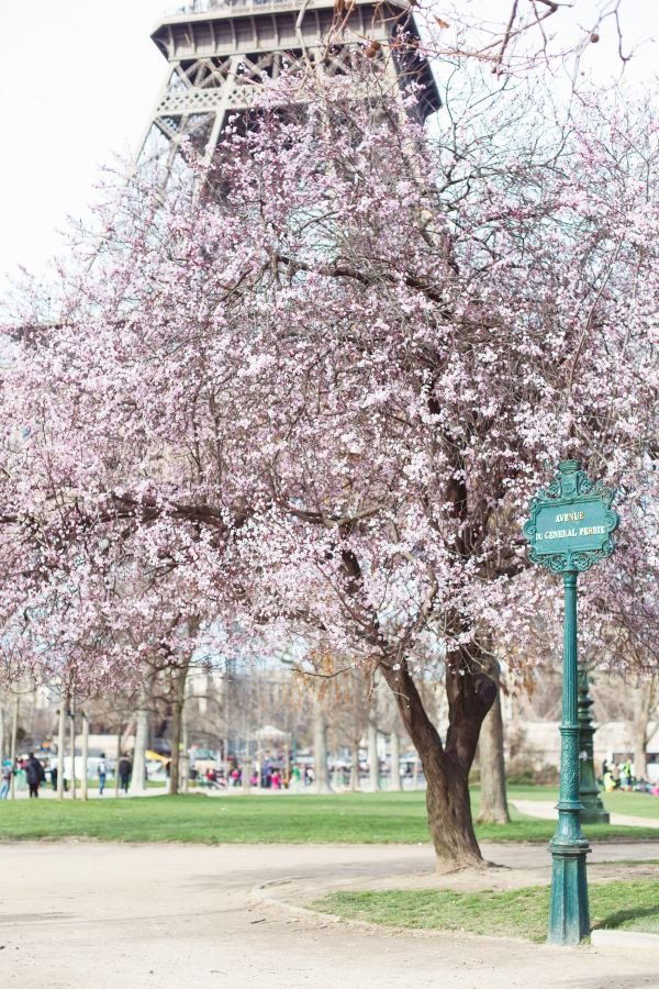 Pariz: Prelepe prolećne razglednice iz glavnog grada Francuske