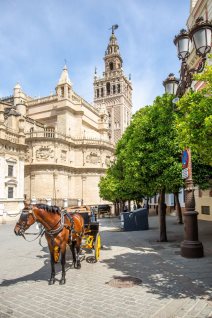 Seville Cathedral
