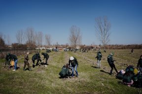Realizovana velika sadnja u okviru Zasadi drvo projekta