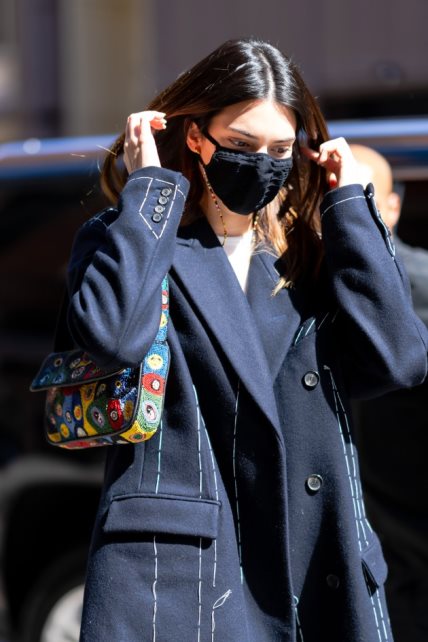 Kendall Jenner ima novu torbicu koja je osvojila Instagram!