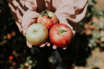 Prema istraživanjima, jedna jabuka dnevno može vas 'držati' podalje od doktora. Kora od jabuke izgrađuje mišiće, drži nivo šećera u krvi pod kontrolom i snižava holesterol.