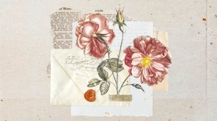 Ilustracij cveta koji je zalepljen za pismo.