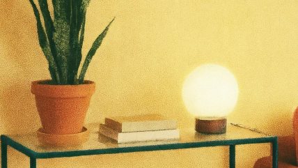 Ilustracija stola na kome stoje: biljak, knjige i lampa.