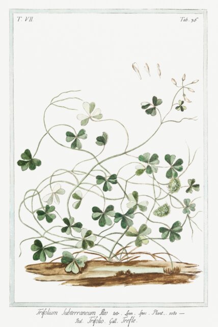 Ilustracija.