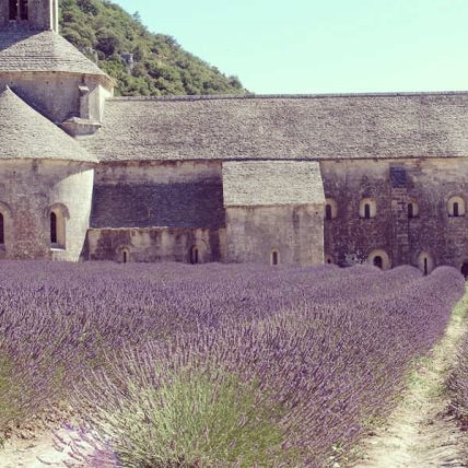 Abbaye de Senanque, Provansa