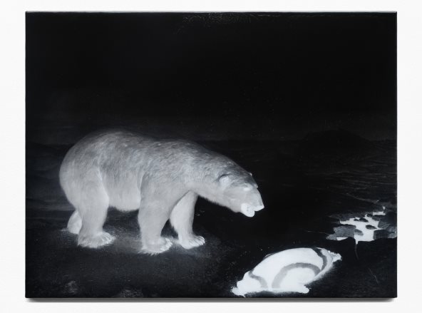 Jelena Bulajic, After Sugimoto, Polar Bear, 2023. Courtesy of the artist and carlier  gebauer, BerlinMadrid.jpg