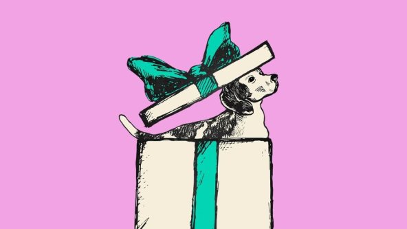 Ilustracija psa koji izlazi iz kutije za poklon.
