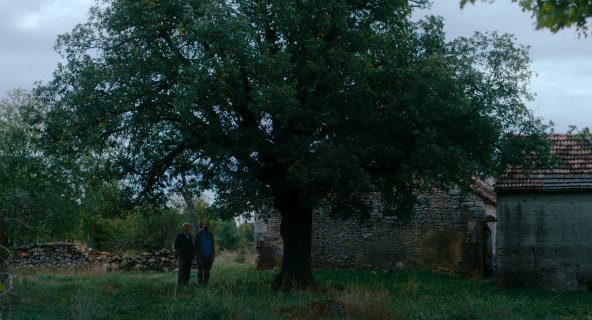 Kako je ovde tako zeleno_Foto Promo (2).jpg