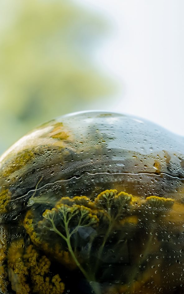 LOREAL_0311683_MD copy.jpg