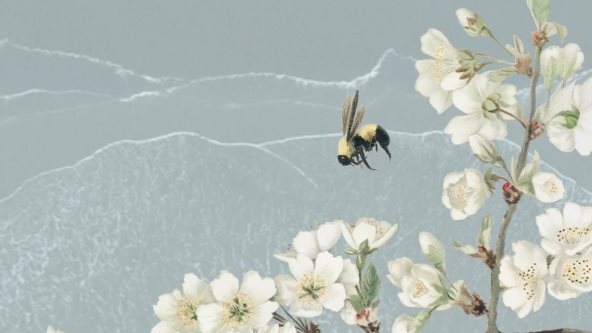 Ilustracija cveća i pčele.