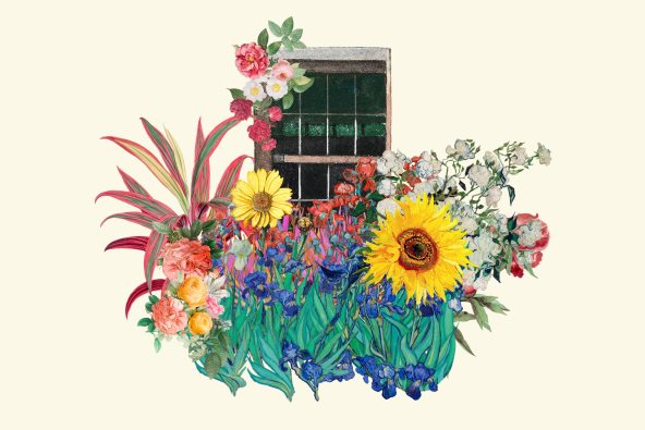 Ilustracija cveća i prozora.