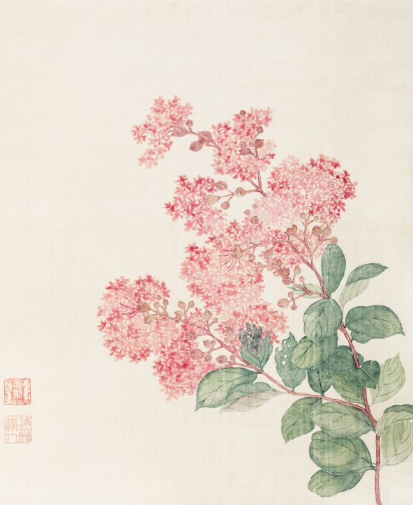 Ilustracija roze cveta.