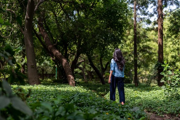 shutterstock_2263196347 copy.jpg