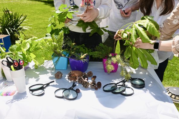 Održan prvi Eko-festival