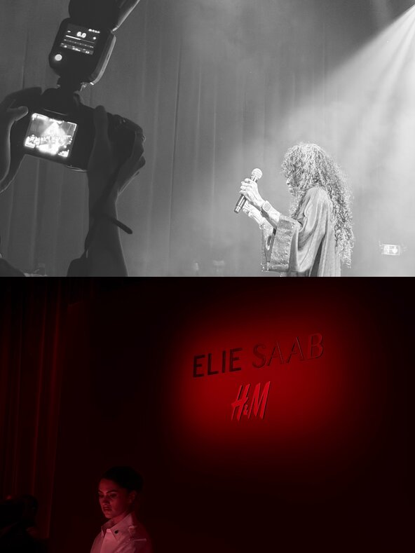 H&M & Elie Saab 3.jpeg